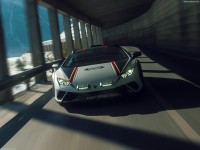 Lamborghini Huracan Sterrato 2024 hoodie #1543760