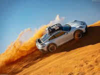 Porsche 911 Dakar 2023 stickers 1545101