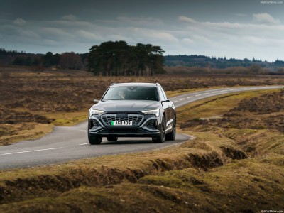 Audi Q8 Sportback e-tron quattro [UK] 2024 canvas poster