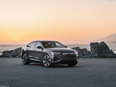 Audi Q8 Sportback e-tron [US] 2024 hoodie