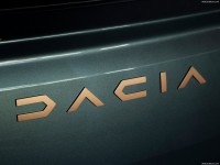 Dacia Sandero Stepway Extreme 2023 stickers 1554079
