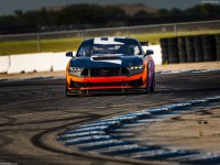 Ford Mustang GT4 Racecar 2024 Poster 1557310