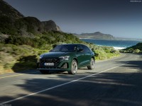 Audi Q8 2024 Poster 1569815