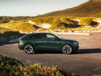 Audi Q8 2024 Poster 1569823