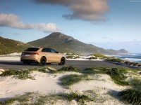 Audi Q8 2024 Poster 1569828