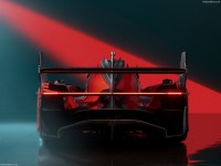 Ferrari 499P Modificata 2024 Poster 1569993