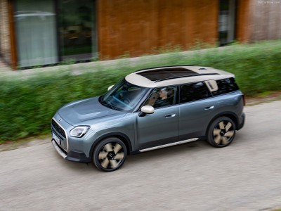 Mini Countryman C 2024 pillow