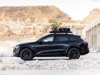 Audi Q8 e-tron Dakar Edition 2024 hoodie #1574715