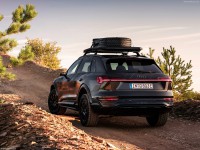 Audi Q8 e-tron Dakar Edition 2024 Poster 1574721