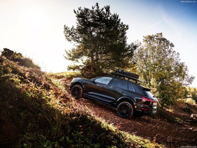 Audi Q8 e-tron Dakar Edition 2024 Poster 1574723