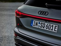 Audi SQ6 e-tron 2025 Sweatshirt #1578968