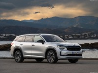 Skoda Kodiaq 2024 mug #1580162