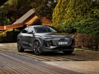 Audi Q6 Sportback e-tron 2025 Longsleeve T-shirt #1593283