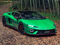 Lamborghini Temerario 2025 Sweatshirt #1600538