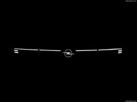 Opel Grandland 2025 hoodie #1614140