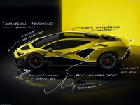 Lamborghini Fenomeno 2026 hoodie #1615654