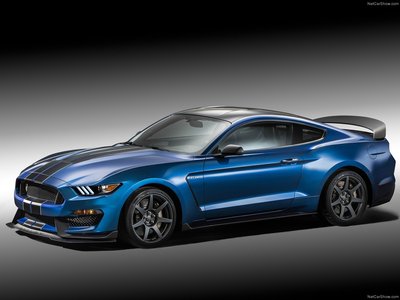 Ford Mustang Shelby GT350R 2016 poster
