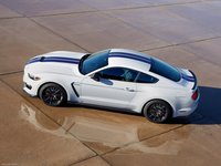 Ford Mustang Shelby GT350 2016 Poster 22213