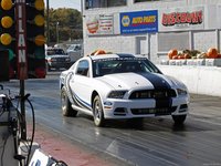 Ford Mustang Cobra Jet Twin Turbo Concept 2012 mug #22800