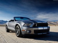 Ford Mustang Shelby GT500 Convertible 2010 stickers 23199