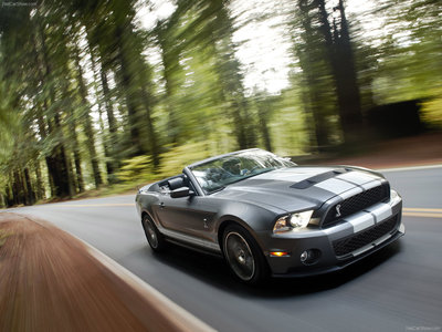 Ford Mustang Shelby GT500 Convertible 2010 Poster with Hanger