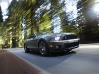 Ford Mustang Shelby GT500 Convertible 2010 puzzle 23201