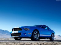 Ford Mustang Shelby GT500 2010 stickers 23208