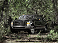 Ford F Series Cabelas FX4 2009 stickers 23393