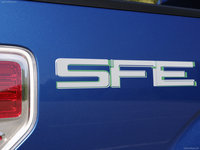 Ford F 150 SFE 2009 stickers 23409