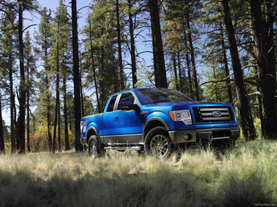 Ford F 150 FX4 2009 canvas poster