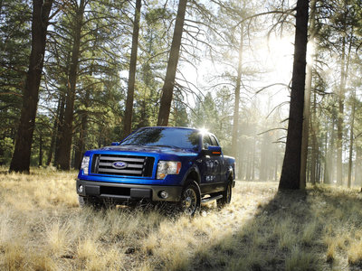 Ford F 150 FX4 2009 canvas poster