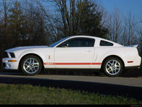 Ford Mustang Shelby GT500 Red Stripe 2007 Poster 23795