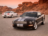 Ford Mustang Shelby GT 2007 puzzle 23818