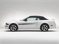 Ford Mustang GT California Special 2007 stickers 23824
