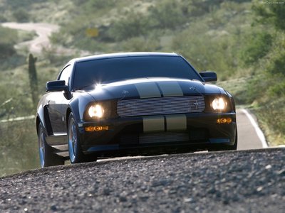 Ford Mustang Shelby GT H 2006 pillow