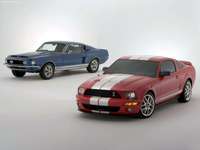 Ford Shelby SVT Cobra GT500 Mustang Show Car 2005 stickers 24172