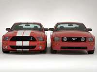 Ford Shelby SVT Cobra GT500 Mustang Show Car 2005 Poster 24175