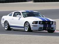 Ford Mustang Racecar Prototype 2005 puzzle 24205