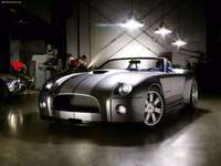 Ford Shelby Cobra Concept 2004 puzzle 24416