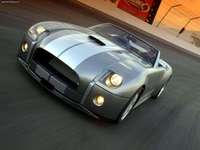 Ford Shelby Cobra Concept 2004 puzzle 24417