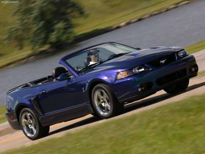 Ford Mustang SVT Cobra Convertible 2004 stickers 24442