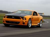 Ford Mustang GTR 40th Anniversary Concept 2004 puzzle 24457