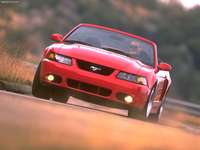 Ford Mustang SVT Cobra Convertible 2003 stickers 24598