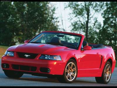 Ford Mustang SVT Cobra 10th Anniversary 2003 Poster with Hanger