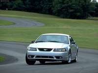 Ford Mustang SVT Cobra 2001 stickers 24875