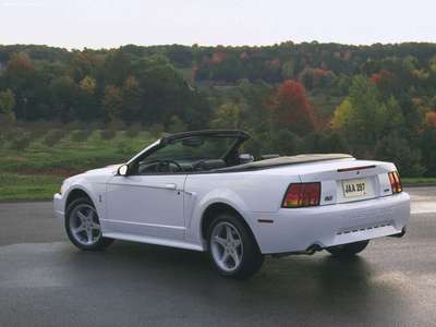 Ford Mustang SVT Cobra 1999 canvas poster