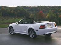 Ford Mustang SVT Cobra 1999 puzzle 25029