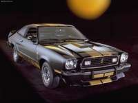 Ford Mustang Cobra II 1975 stickers 25189