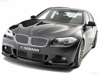 Hamann BMW 5 Series F10 M Technik 2011 stickers 25934