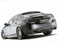Hamann BMW 5 Series F10 M Technik 2011 stickers 25937